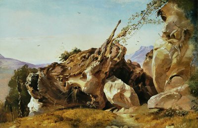 Tutkimus kiviä ja juuria lähellä Olevanoa tekijältä Friedrich Nerly